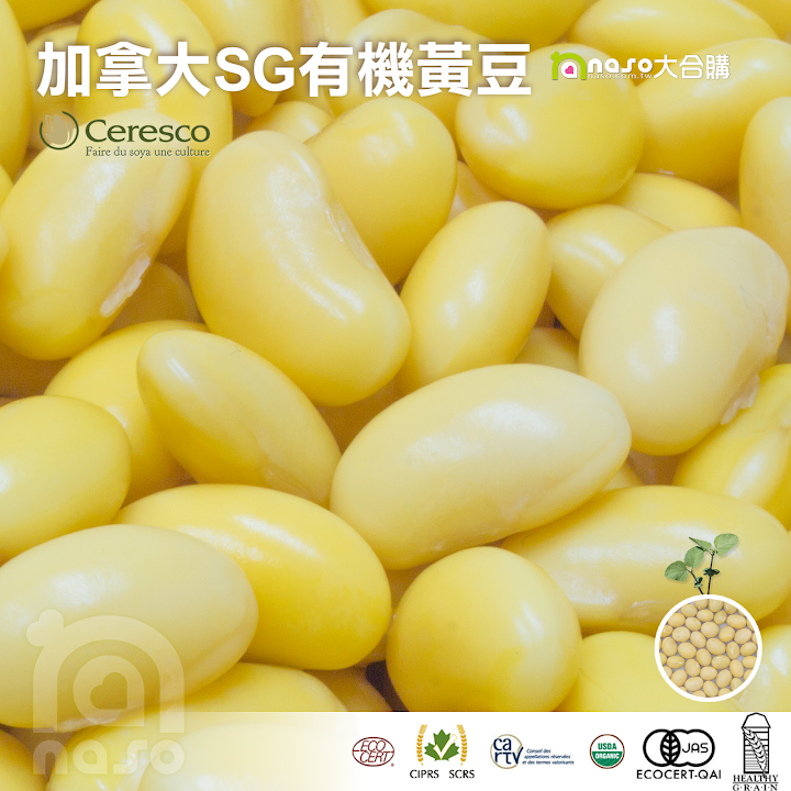 【naso開箱文】加拿大DG楓葉牌 有機黃豆,蛋白質高豆漿就好喝! 加拿大SG有機黃豆,蛋白質高豆漿就好喝!