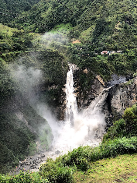 Visiting Brazil's  rainforest