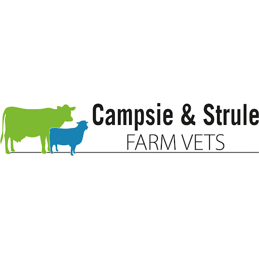 Strule Veterinary Services - Newtownstewart logo