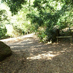 Sign and trail at the Rain Forest Picnic Area in the Blackbutt Reserve (399730)