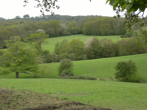 1005050010 Wealden view near Chiddingstone Hoath, spring