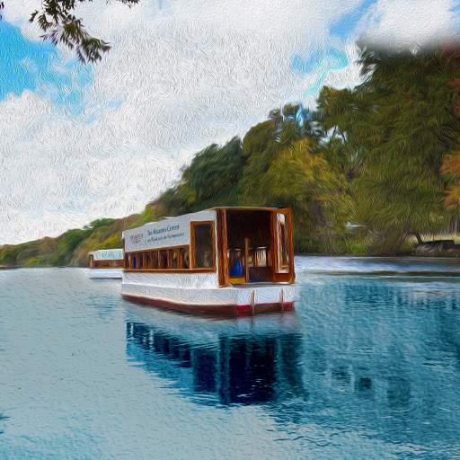 Meadows Center Glass-Bottom Boat Tours