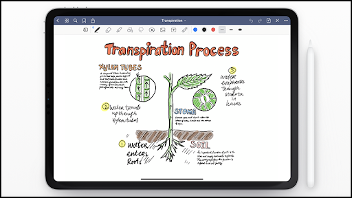 Ứng dụng GoodNotes 5