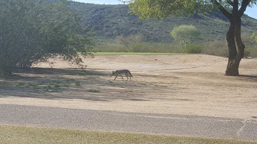 Golf Course «The 500 Club», reviews and photos, 4707 W Pinnacle Peak Rd, Glendale, AZ 85310, USA