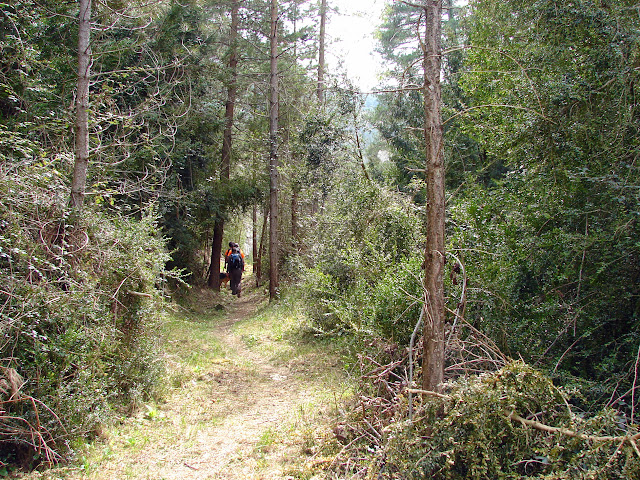 Senderismo - Coll de la Creu - Punta Boixet - Alt de la Coscollosa - Barranc de la Coscollosa