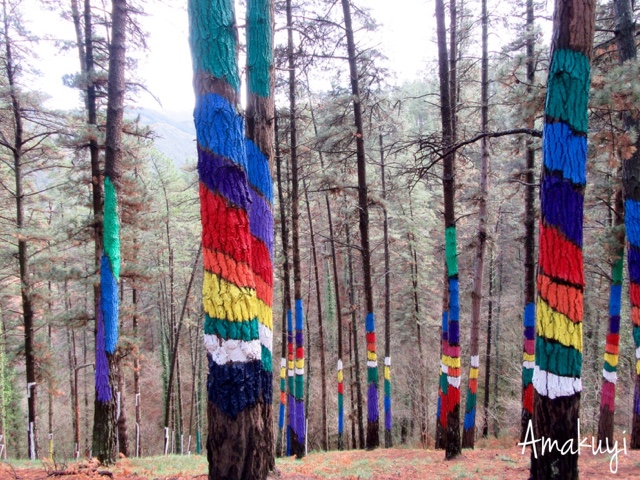 Escapadas-bizkaia-niños-bosque-oma