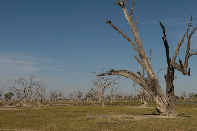 Botswana et Zimbabwe en octobre BotsZim_Oct2015_129