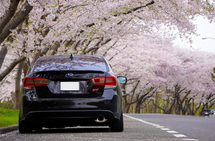 インプレッサ G4の桜コラボ🌸・サクラと愛車・ゴールデンウィーク・一眼レフカメラ・ドライブに関するカスタム事例の投稿画像1枚目