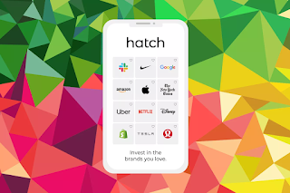 Hatch invest nz review