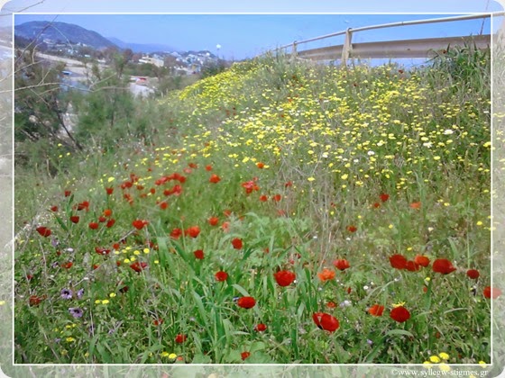 My favorite places #5 – Βόλτα στη θάλασσα στο Λαγονήσι