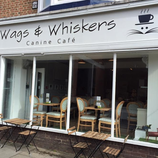 Wags & Whiskers Canine Cafe