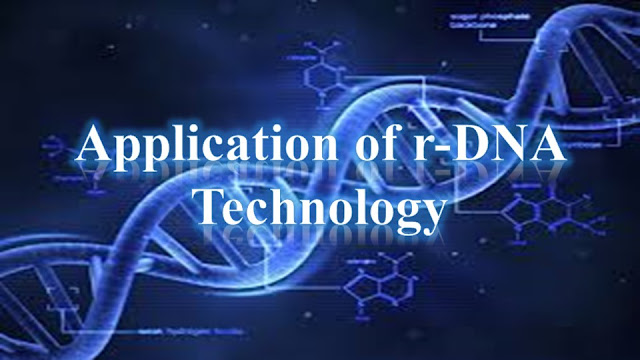  BP605T PPT on r-DNA Technology Biotechnology 6th Semester B.Pharmacy Lecture Notes,BP605T Pharmaceutical Biotechnology,BPharmacy,Handwritten Notes,BPharm 6th Semester,Important Exam Notes,