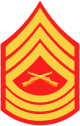 파일:external/upload.wikimedia.org/80px-USMC-E8-MSG.svg.png