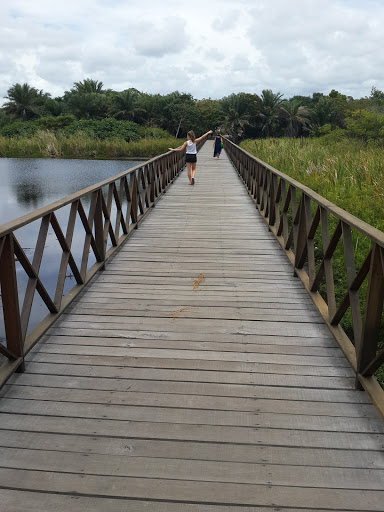 Parque Municipal Klaus Peters, Av. do Farol, 53, Mata de São João - BA, 48280-000, Brasil, Museu, estado Bahia