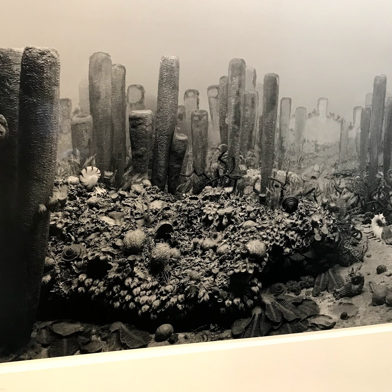 Hiroshi Sugimoto Silver Gelatin Print