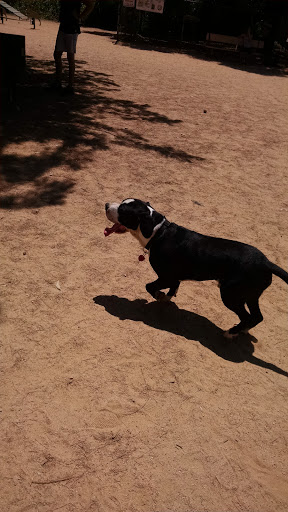 Dog Park «Hermon Dog Park», reviews and photos, 5568 Via Marisol, Los Angeles, CA 90042, USA