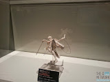 Attack on Titan Museum 