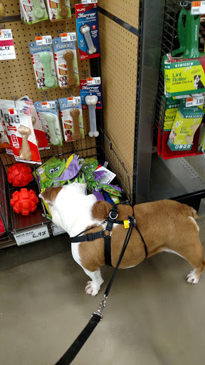 Pet Supply Store «Pet Supplies Plus», reviews and photos, 132 Randall Rd, Lake in the Hills, IL 60156, USA