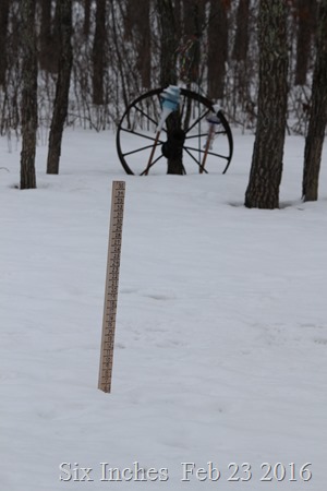 Six Inches at the snow stick