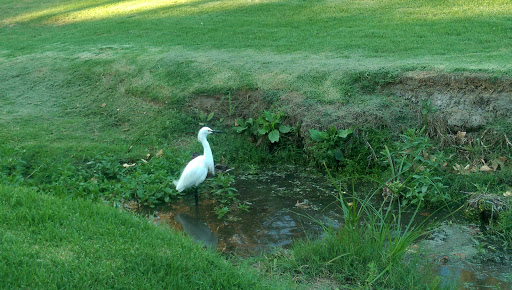 Park «Craig Regional Park», reviews and photos, 3300 N State College Blvd, Fullerton, CA 92835, USA