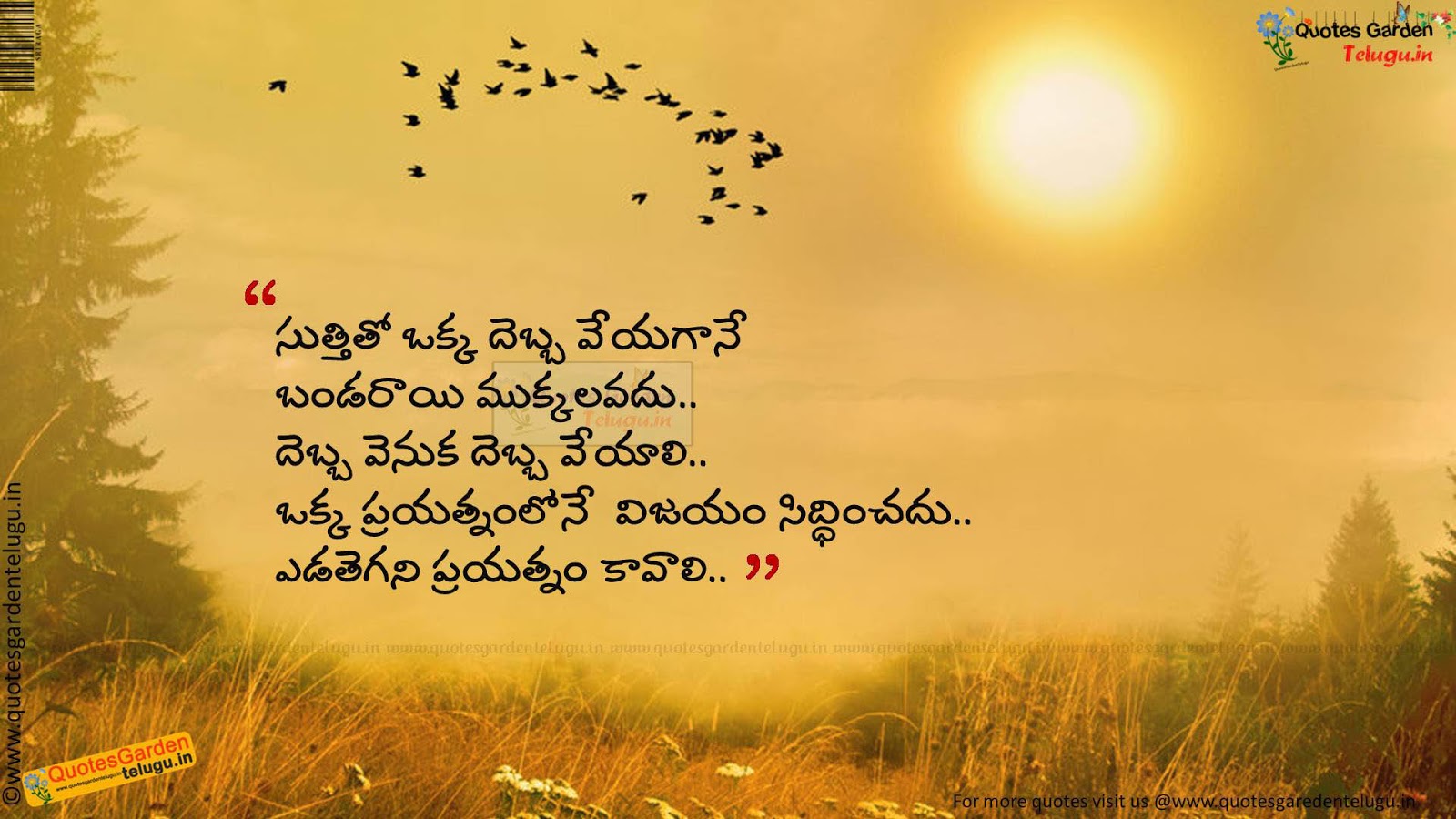 Best Good morning Whatsapp status in telugu | QUOTES GARDEN TELUGU ...