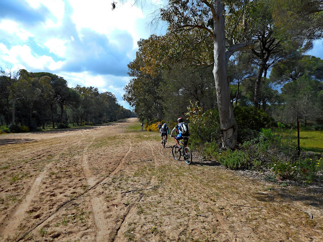 Rutas en bici. - Página 11 DSCN2375