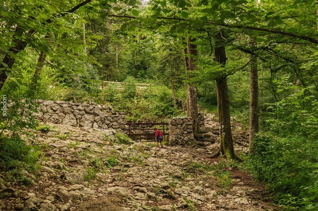 Eslovenia en familia, un pequeño bocado en 16 días - Blogs de Eslovenia - EL ESPECTACULAR VALLE DE RAKOV ŠKOCJAN (7)