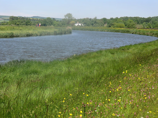 CIMG7301 River Arun near Arundel