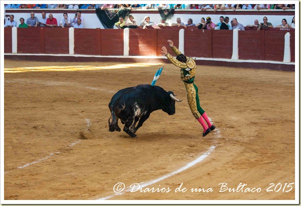 Toros Feria 2015-9858