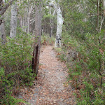 Track between lookouts (107860)