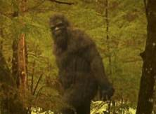 Is Bigfoot  Real