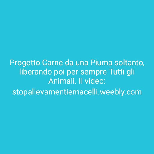 Progetto Carne da Una Piuma Soltanto, Liberando Per Sempre Tutti Gli Animali