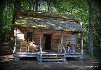 Pioneer Cabin