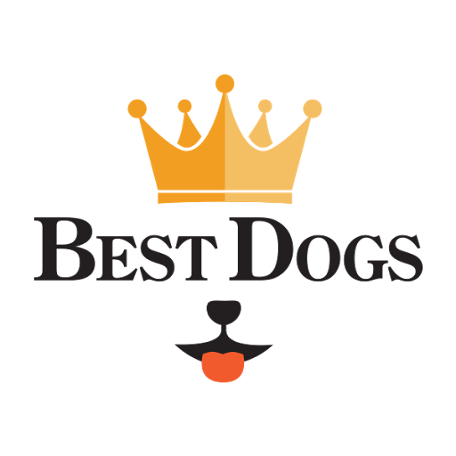 Best Dogs - Dog Care logo