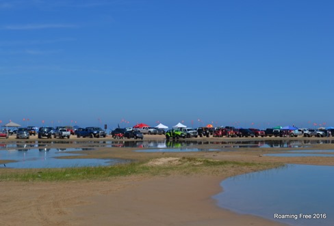 Busy at the beach