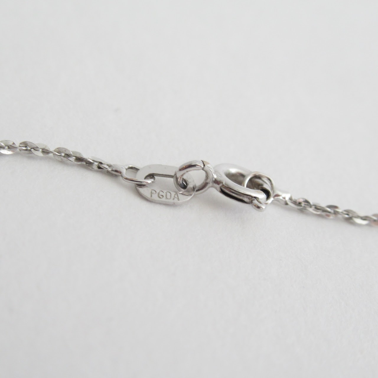 10K White Gold Chain & Pendant