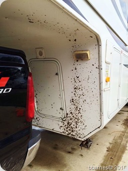 Mud from Primrose Lane RV Park 11172015