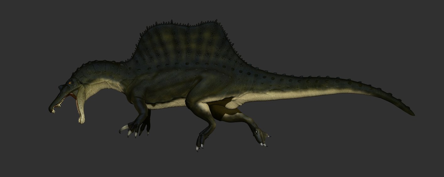 파일:external/th01.deviantart.net/spinosaurus_new_version_by_manuelsaurus-d7zk0qi.jpg