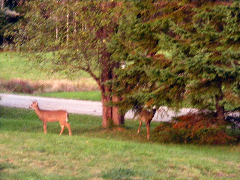 DSCF3411.JPG