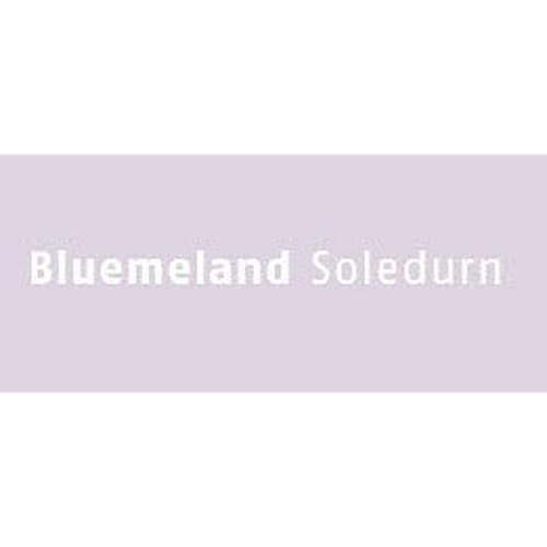 Bluemeland Soledurn GmbH