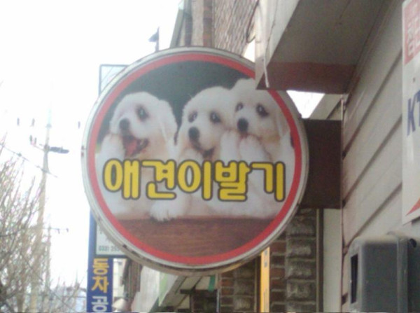 파일:attachment/dog_2.jpg