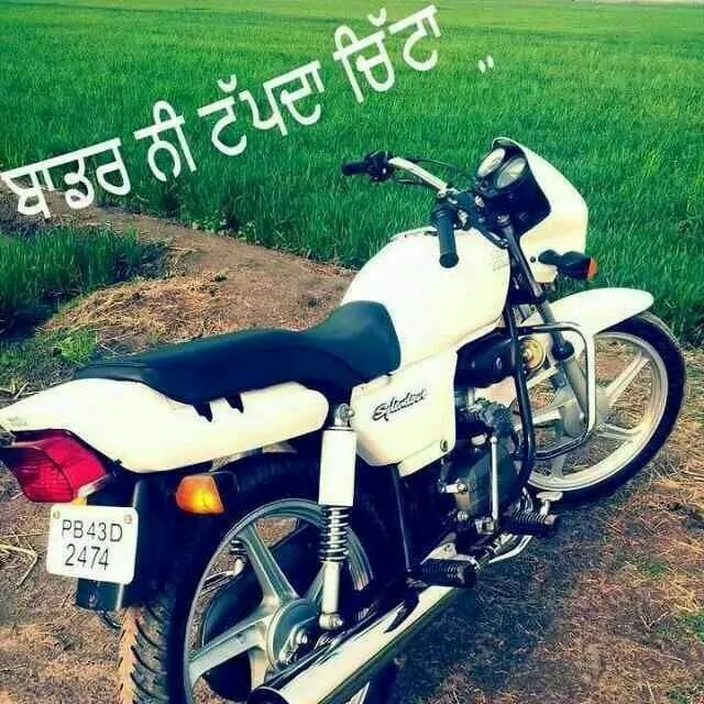 Punjabi Funny Troll Pics Whatsapp