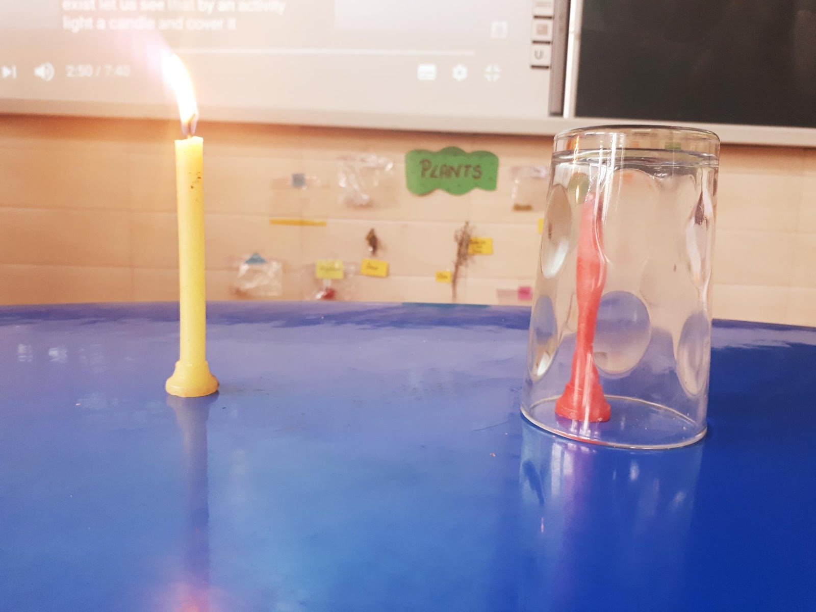 Candle Reaction Lab