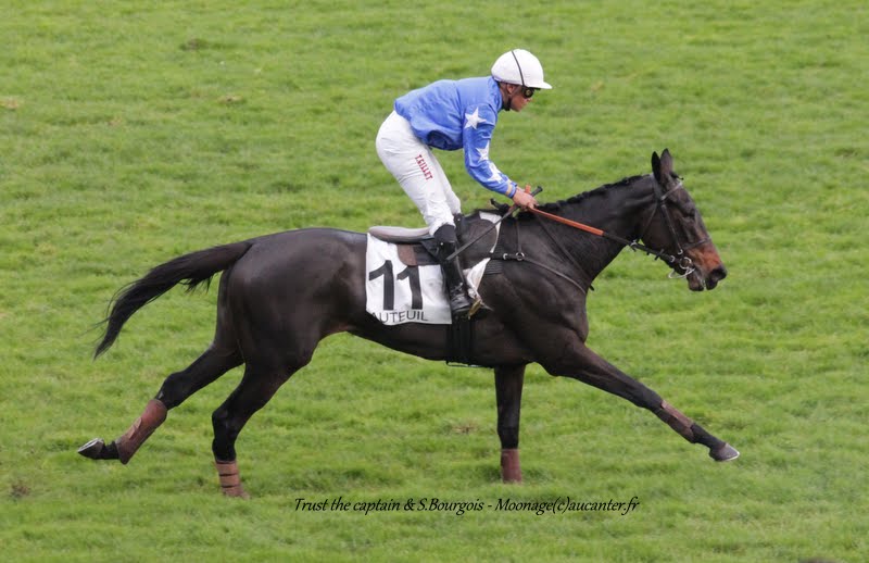 Photos Auteuil 7-11-2015 (48h de l'obstacle) - Page 2 IMG_6669