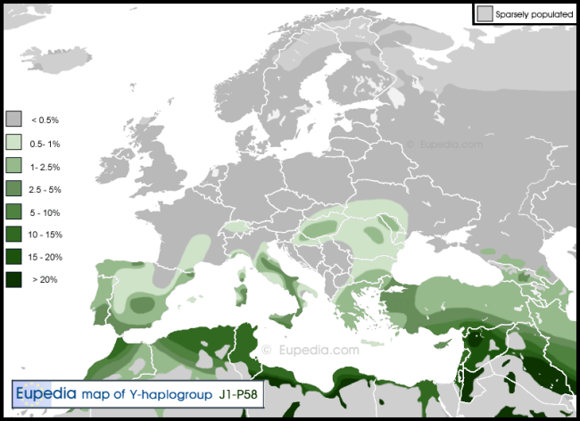 Haplogroup-J1-P58