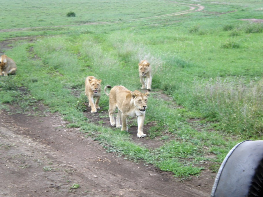 Serengeti National Park