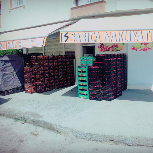 Sarıca Nakliyat logo