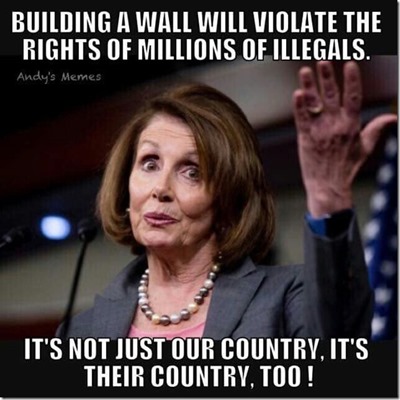 pelosi meme_thumb[1]