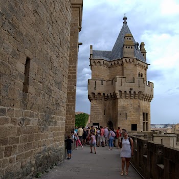 OLITE 15-08-2012 13-32-27.NEF.jpg