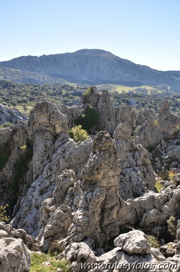 Benaocaz-El Hoyo-Jauletas-Puerto de Don Fernando